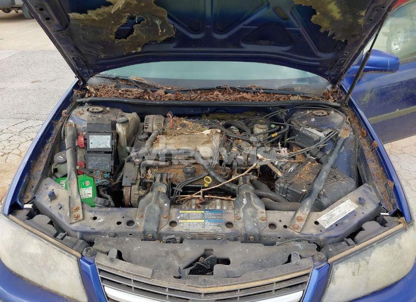 Photo 10 of 2005 Chevrolet Impala (VIN 2G1WF52E559350258)