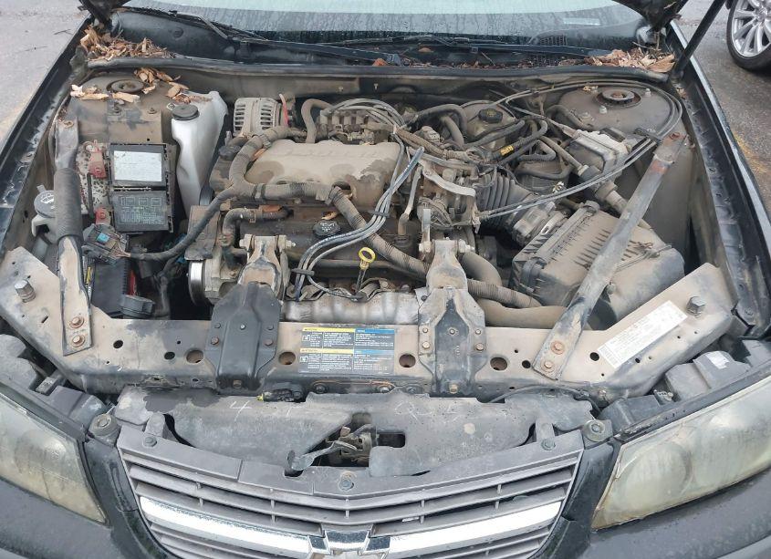 Photo 10 of 2005 Chevrolet Impala (VIN 2G1WF55E559377424)