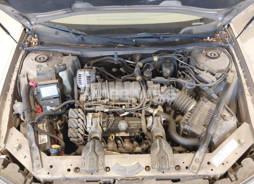 Photo 10 of 2004 Chevrolet Impala LS (VIN 2G1WH52K449214556)