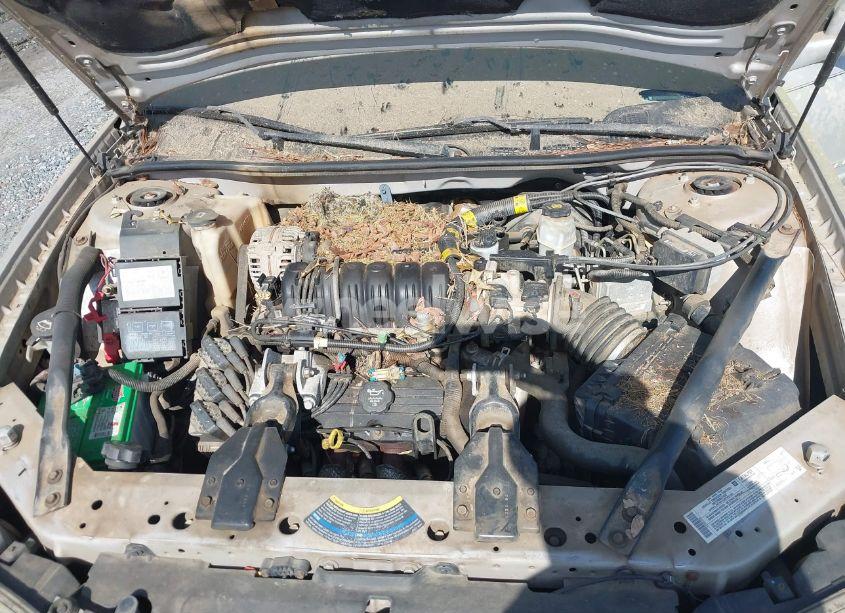 Photo 10 of 2004 Chevrolet Impala LS (VIN 2G1WH52K449282338)