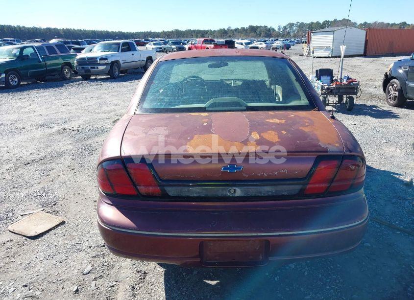 Photo 16 of 2000 Chevrolet Lumina (VIN 2G1WL52J4Y1276629)