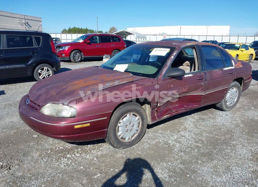 Photo 2 of 2000 Chevrolet Lumina (VIN 2G1WL52J4Y1276629)