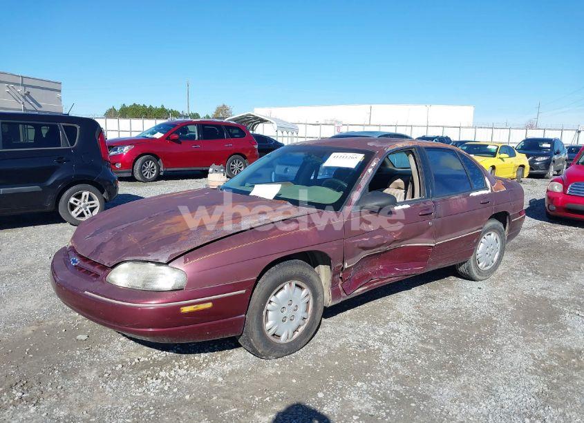Photo 6 of 2000 Chevrolet Lumina (VIN 2G1WL52J4Y1276629)