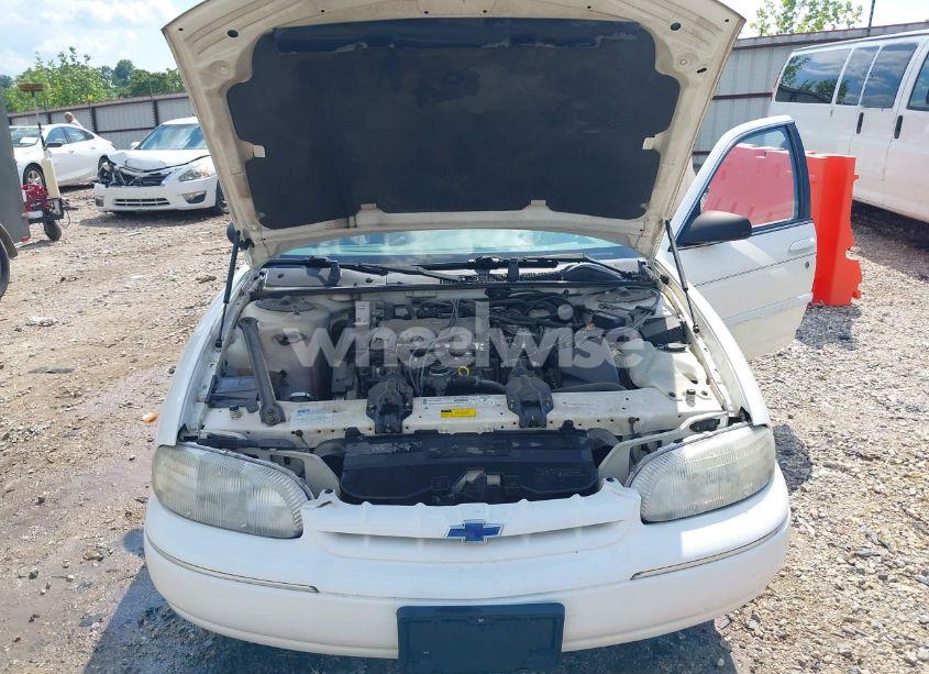 Photo 10 of 2001 Chevrolet Lumina (VIN 2G1WL52J711194772)