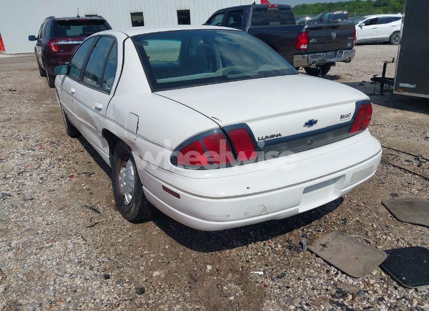 Photo 3 of 2001 Chevrolet Lumina (VIN 2G1WL52J711194772)