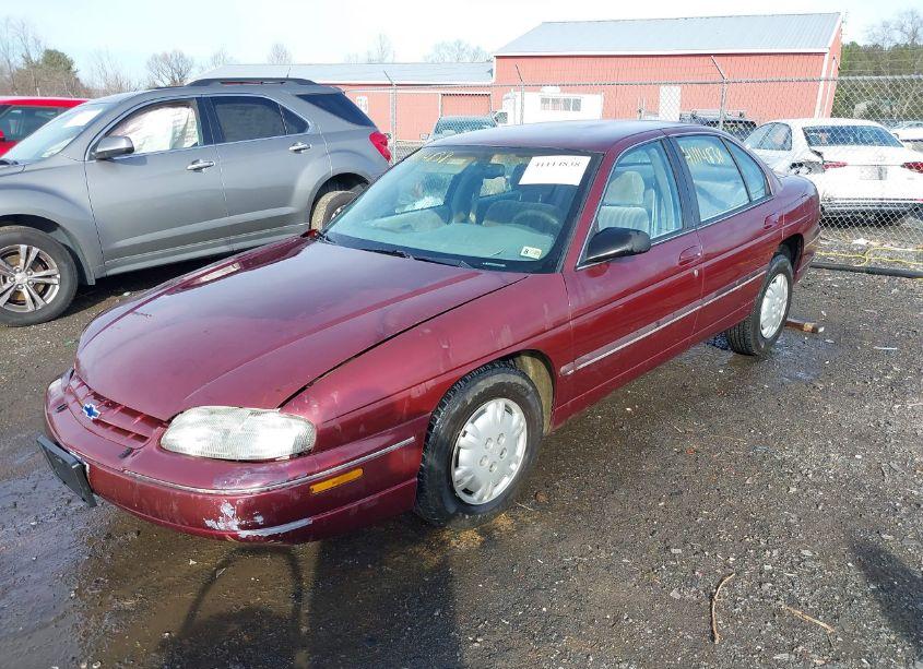 Photo 2 of 2001 Chevrolet Lumina (VIN 2G1WL52J811195655)