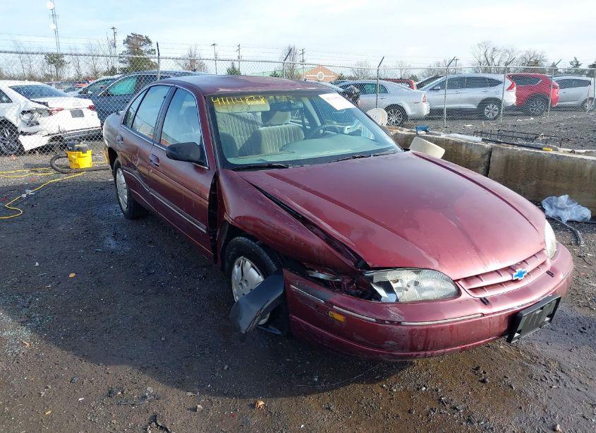 Photo 6 of 2001 Chevrolet Lumina (VIN 2G1WL52J811195655)