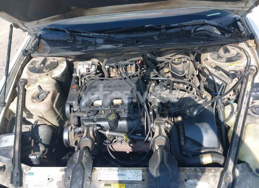 Photo 10 of 1998 Chevrolet Lumina (VIN 2G1WL52M0W9222673)