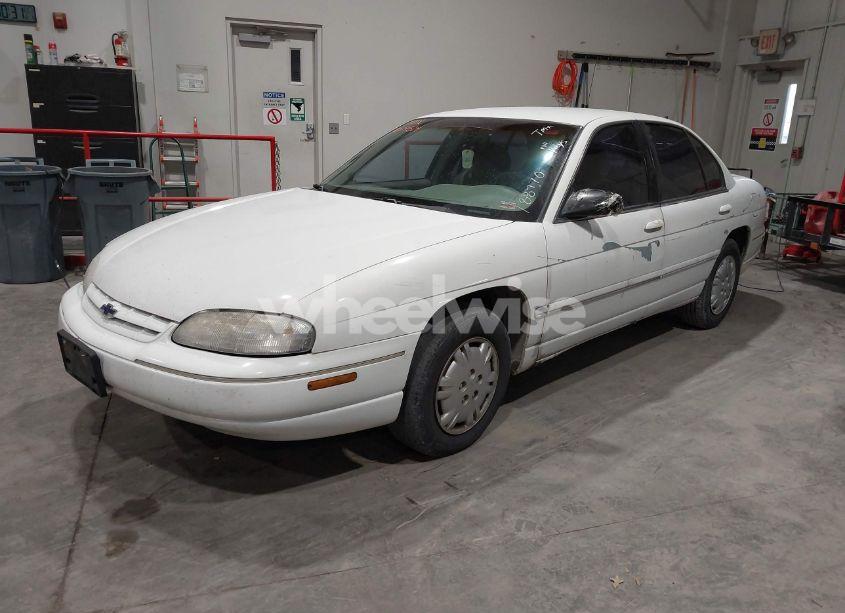 Photo 2 of 1999 Chevrolet Lumina (VIN 2G1WL52M0X9188770)