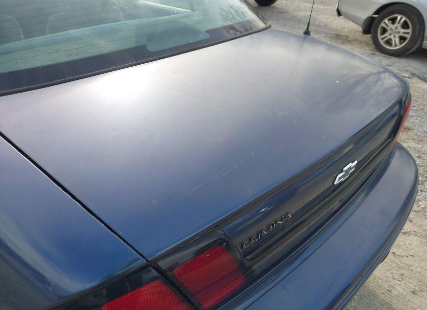 Photo 13 of 1997 Chevrolet Lumina TAXI (VIN 2G1WL52M1V1166112)
