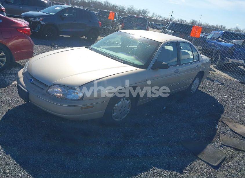 Photo 2 of 1998 Chevrolet Lumina (VIN 2G1WL52M1W9190929)