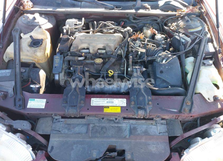 Photo 10 of 1999 Chevrolet Lumina (VIN 2G1WL52M1X9165546)