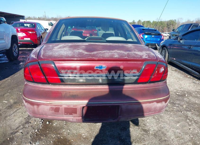 Photo 16 of 1999 Chevrolet Lumina (VIN 2G1WL52M1X9165546)