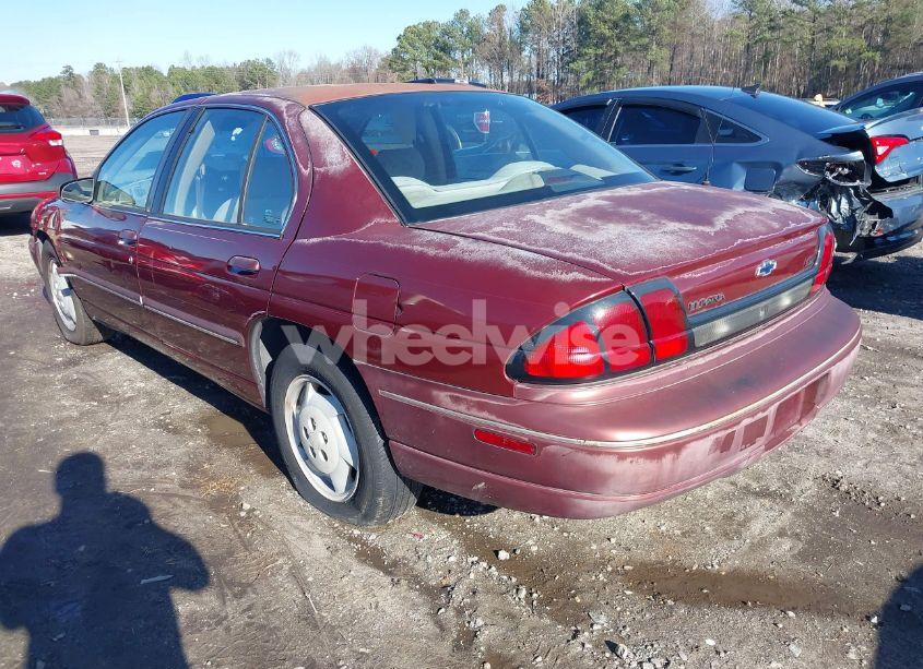 Photo 3 of 1999 Chevrolet Lumina (VIN 2G1WL52M1X9165546)