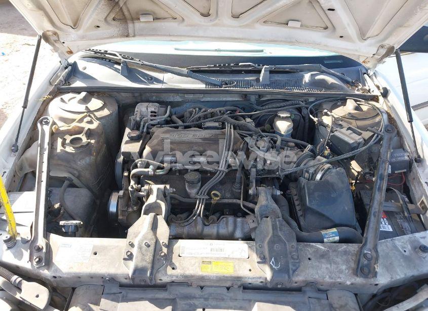 Photo 10 of 1999 Chevrolet Lumina (VIN 2G1WL52M2X9132412)