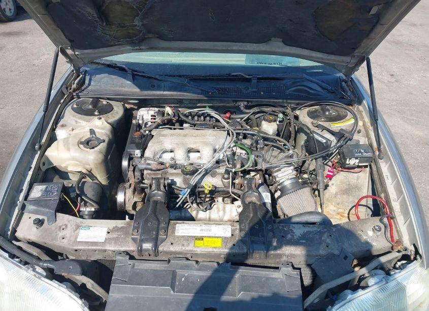 Photo 10 of 1999 Chevrolet Lumina (VIN 2G1WL52M2X9149503)