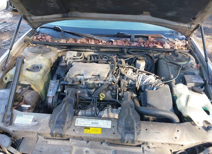 Photo 10 of 1999 Chevrolet Lumina (VIN 2G1WL52M5X9111019)