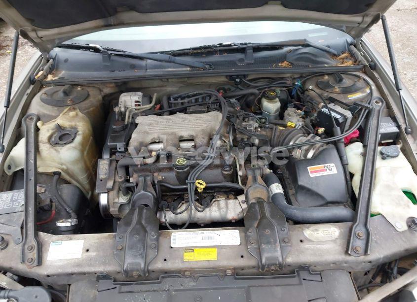 Photo 10 of 1999 Chevrolet Lumina (VIN 2G1WL52M5X9138821)