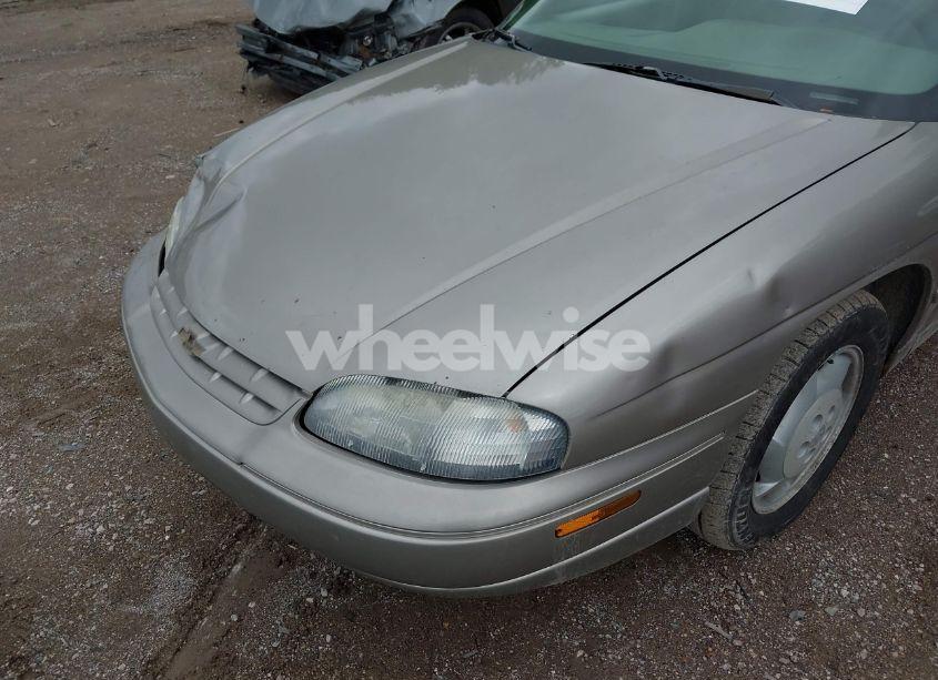 Photo 12 of 1999 Chevrolet Lumina (VIN 2G1WL52M5X9138821)