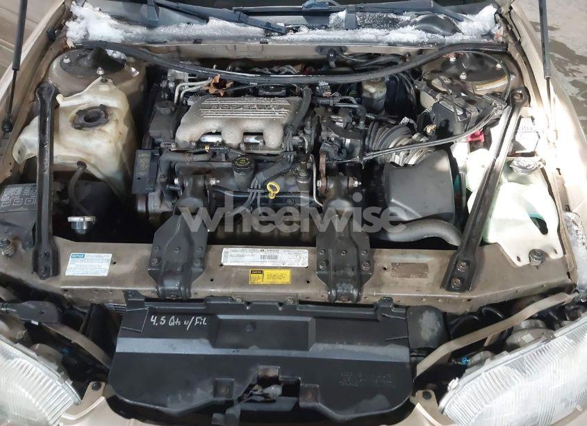 Photo 10 of 1999 Chevrolet Lumina (VIN 2G1WL52M5X9239180)