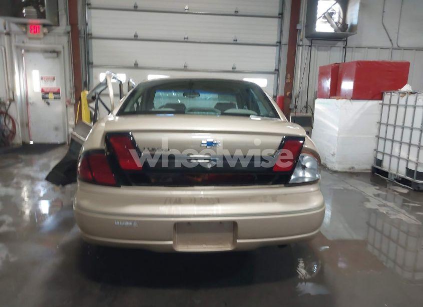 Photo 16 of 1999 Chevrolet Lumina (VIN 2G1WL52M5X9239180)