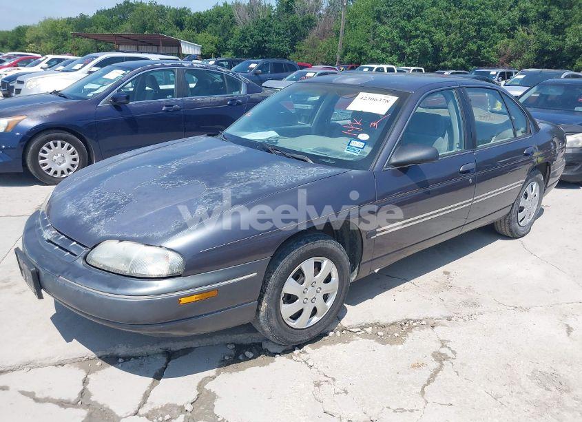 Photo 2 of 1996 Chevrolet Lumina (VIN 2G1WL52M6T9124713)