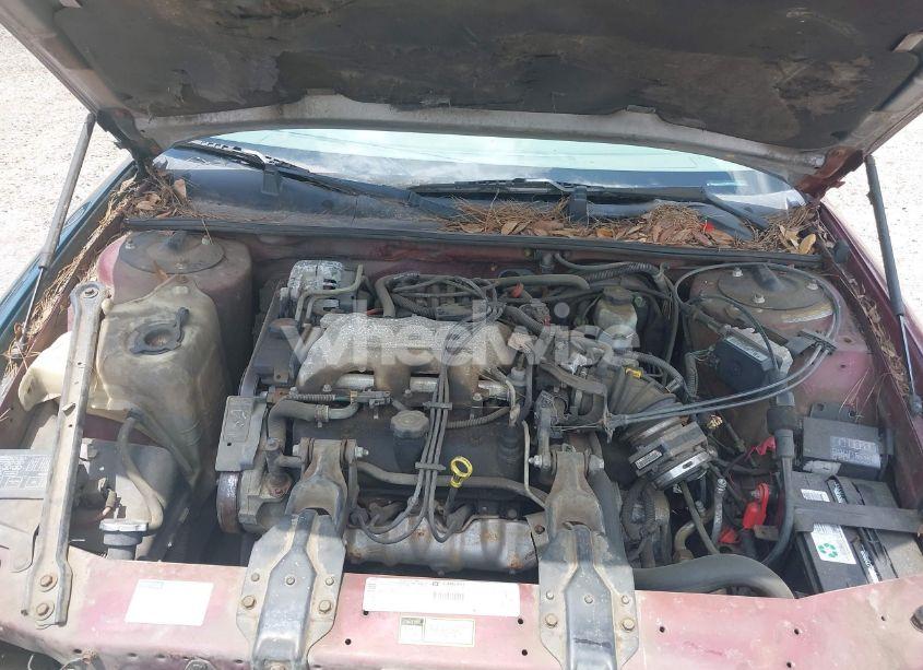 Photo 10 of 1999 Chevrolet Lumina (VIN 2G1WL52M6X1100531)