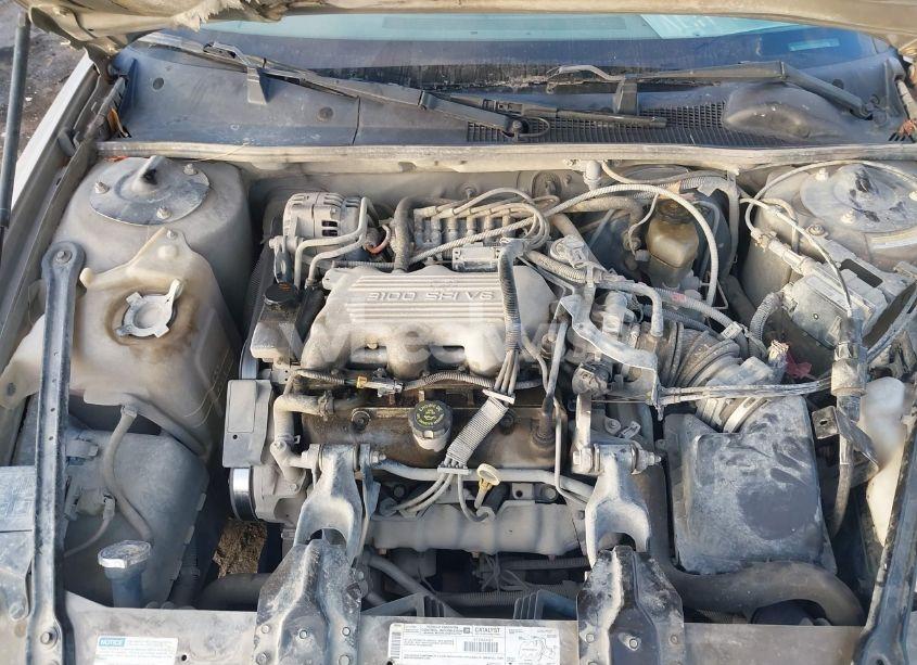 Photo 10 of 1999 Chevrolet Lumina (VIN 2G1WL52M8X9204715)