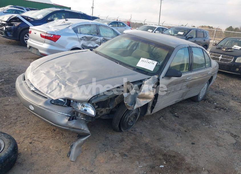 Photo 2 of 1999 Chevrolet Lumina (VIN 2G1WL52M8X9204715)