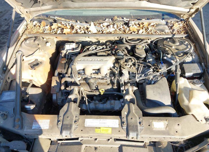 Photo 10 of 1998 Chevrolet Lumina LS (VIN 2G1WL52M9W9177667)