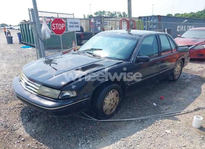 Photo 2 of 1991 Chevrolet Lumina (VIN 2G1WL54T5M1100696)