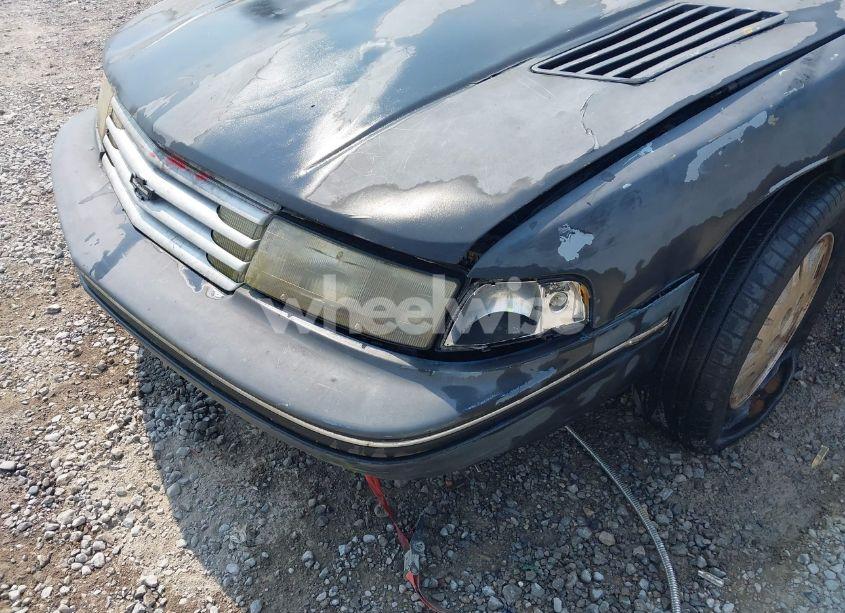 Photo 6 of 1991 Chevrolet Lumina (VIN 2G1WL54T5M1100696)