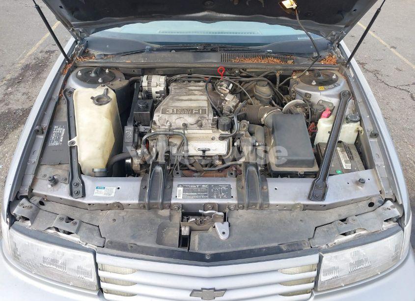 Photo 10 of 1991 Chevrolet Lumina EURO (VIN 2G1WN54T8M9167823)