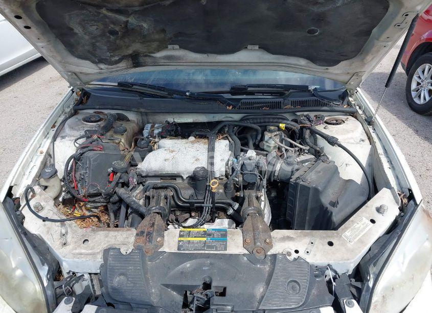 Photo 10 of 2008 Chevrolet Impala POLICE (VIN 2G1WS553981358596)