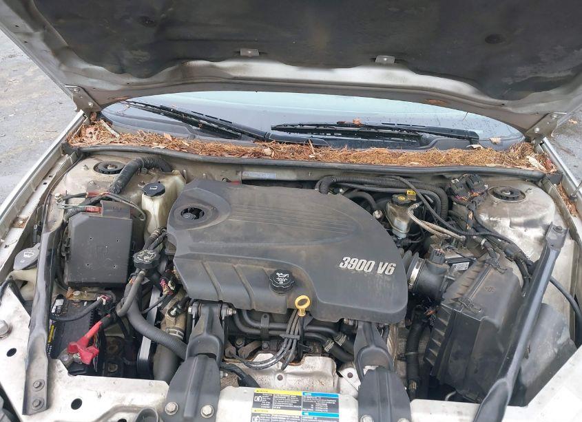 Photo 10 of 2009 Chevrolet Impala POLICE (VIN 2G1WS57M291251834)