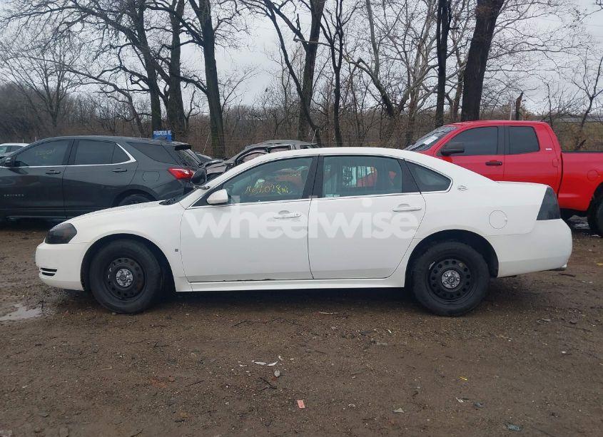 Photo 14 of 2009 Chevrolet Impala POLICE (VIN 2G1WS57M491305943)