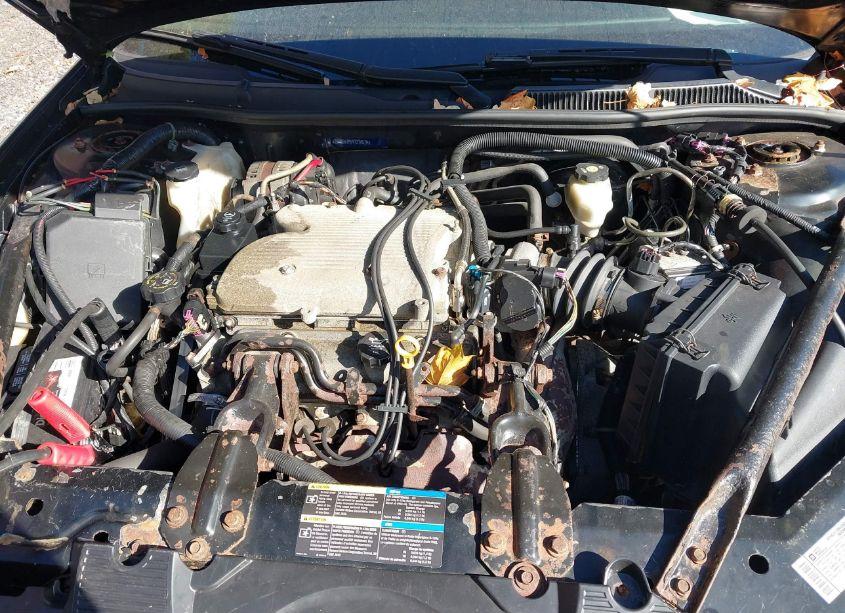 Photo 10 of 2009 Chevrolet Impala POLICE (VIN 2G1WS57M591315879)