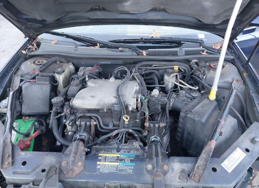 Photo 10 of 2008 Chevrolet Impala POLICE (VIN 2G1WS583981378441)