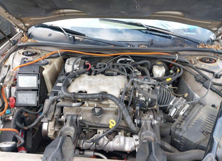 Photo 10 of 2003 Chevrolet Monte CARLO LS (VIN 2G1WW12E039218448)