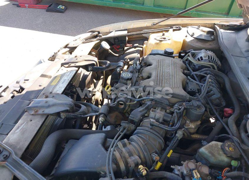 Photo 10 of 1999 Chevrolet Monte CARLO LS (VIN 2G1WW12M2X9288465)