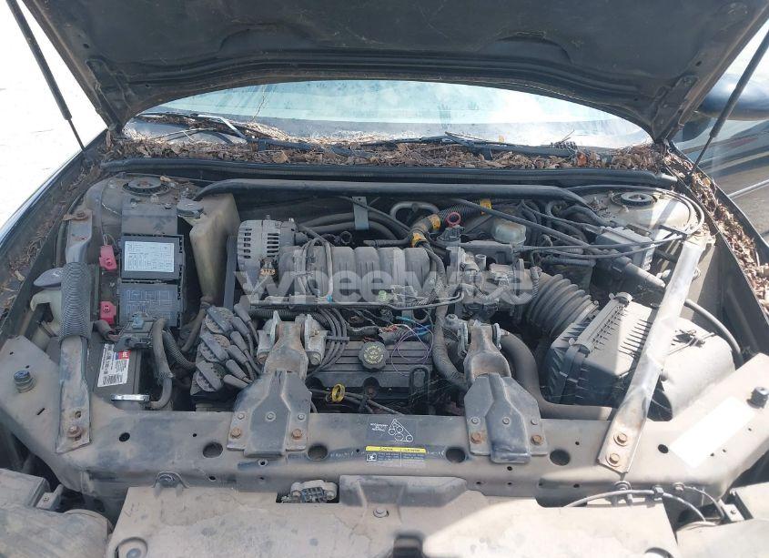 Photo 10 of 2002 Chevrolet Monte CARLO SS (VIN 2G1WX15K229242277)