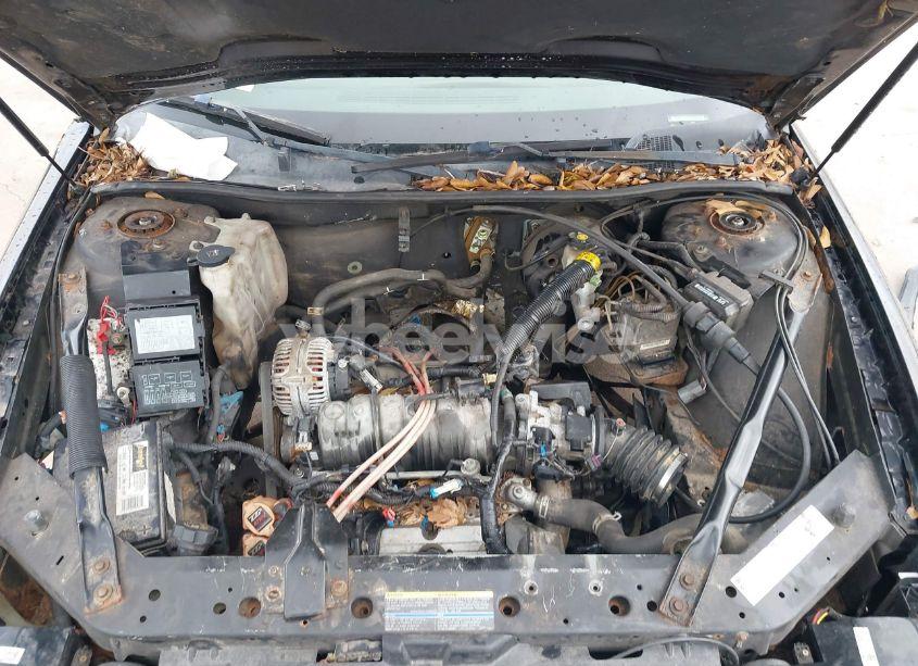 Photo 10 of 2004 Chevrolet Monte CARLO SS SUPERCHARGED (VIN 2G1WZ151649377024)