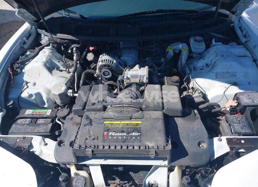 Photo 10 of 2002 Pontiac Firebird N/A (VIN 2G2FS22K222112738)