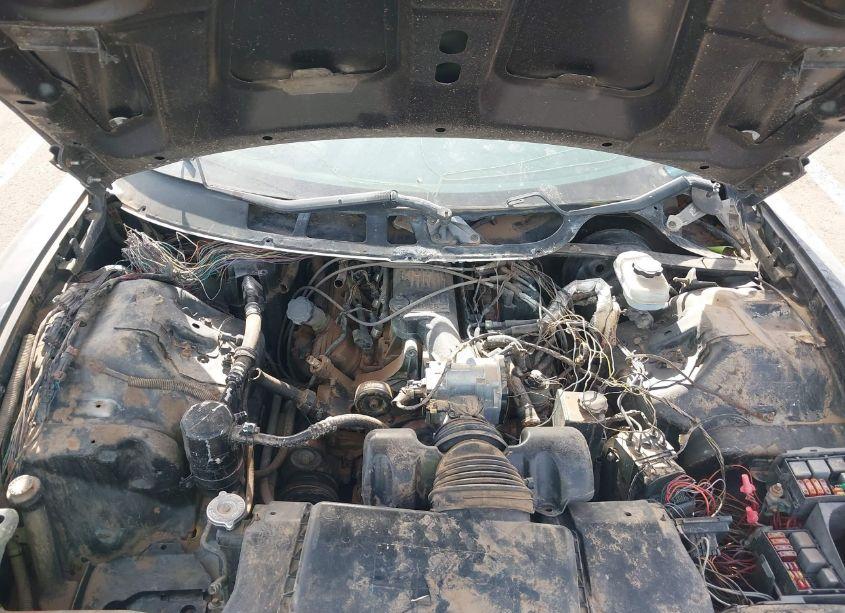 Photo 10 of 1999 Pontiac Firebird N/A (VIN 2G2FS22K5X2205597)