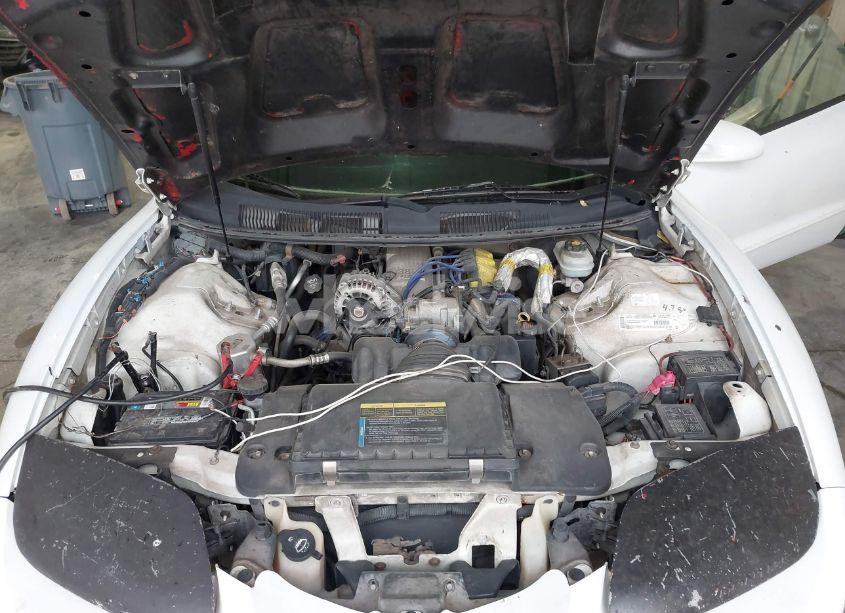 Photo 10 of 2002 Pontiac Firebird N/A (VIN 2G2FS22K622160596)