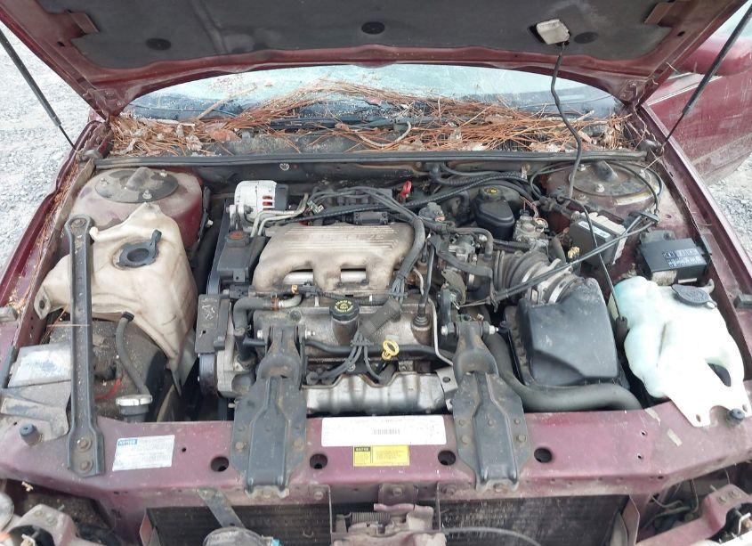 Photo 10 of 1996 Buick Regal CUSTOM (VIN 2G4WB52M8T1496137)