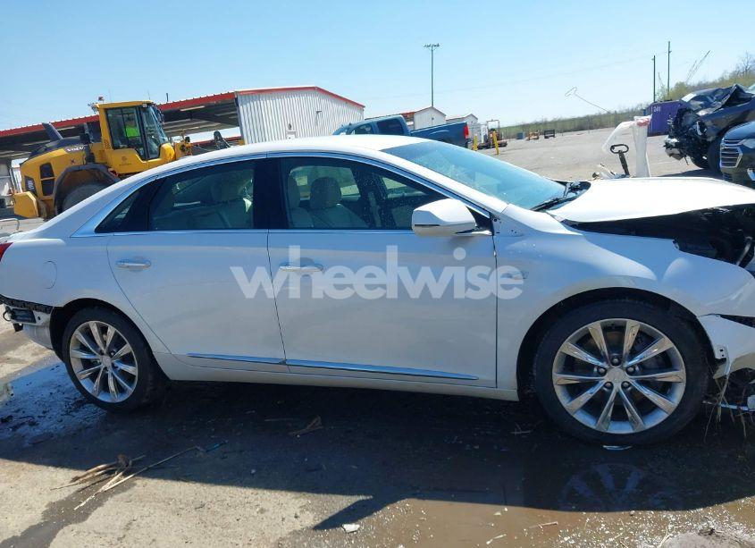 Photo 13 of 2019 Cadillac Xts STANDARD (VIN 2G61L5S33K9129247)