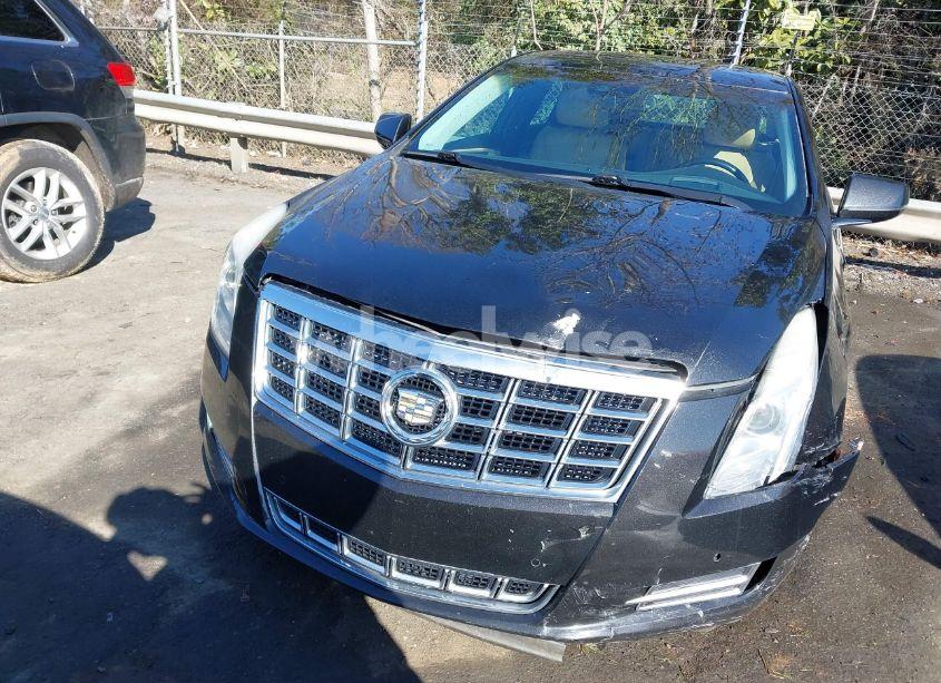 Photo 12 of 2013 Cadillac Xts PREMIUM (VIN 2G61S5S31D9238182)