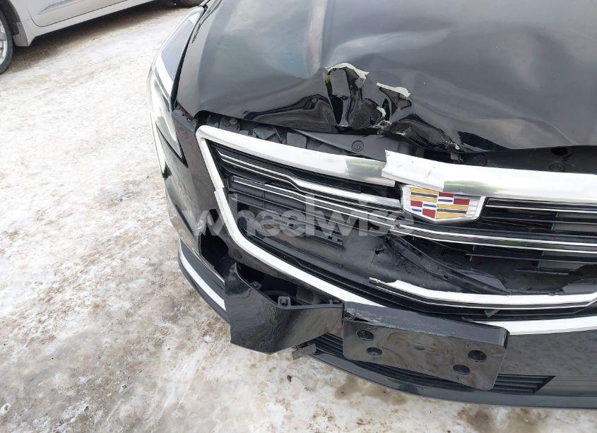 Photo 6 of 2019 Cadillac Xts W20 LIVERY PACKAGE (VIN 2G61U5S33K9141430)