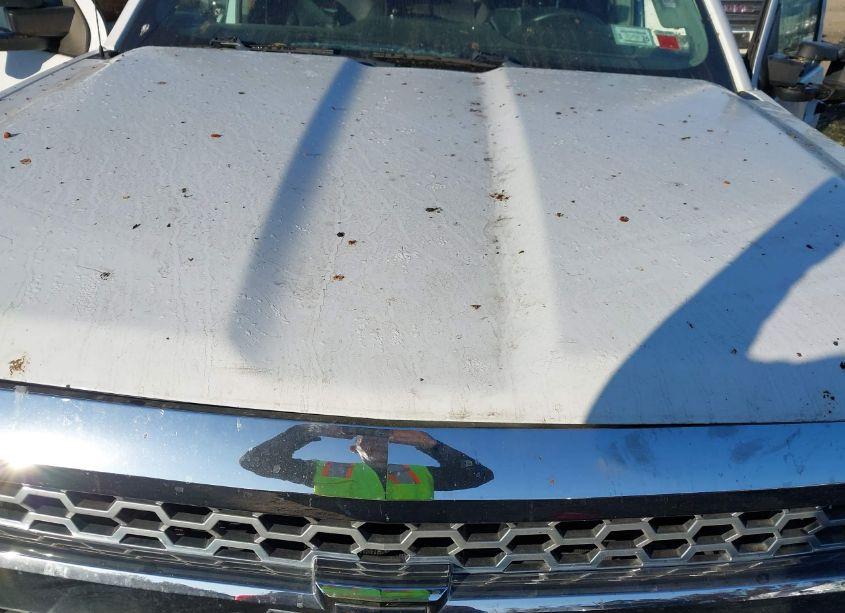 Photo 10 of 2019 Chevrolet Silverado 2500HD WT (VIN 2GC2KREG3K1143884)